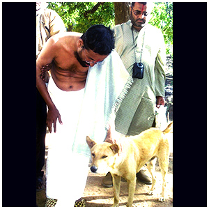 Image gallery