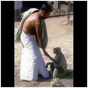Image gallery