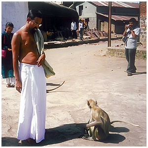 Image gallery
