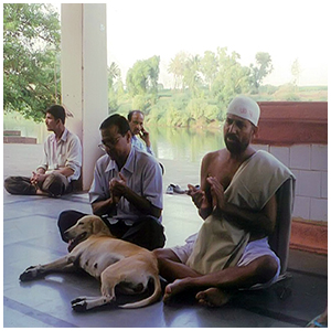 Image gallery