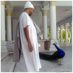 Image gallery