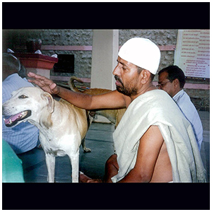 Image gallery