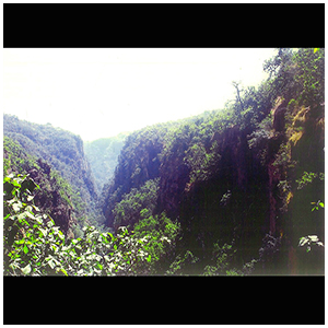 Image gallery