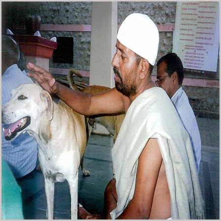 Image gallery